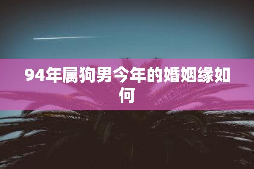 94年属狗男今年的婚姻缘如何