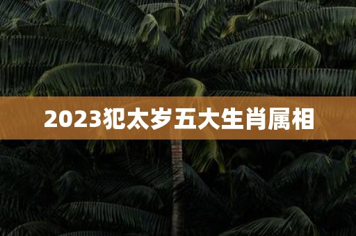 2025犯太岁五大生肖属相