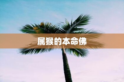 属猴的本命佛