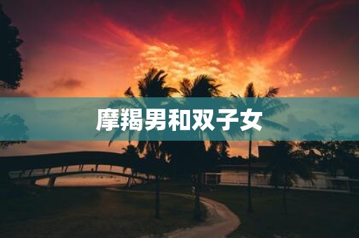 摩羯男和双子女