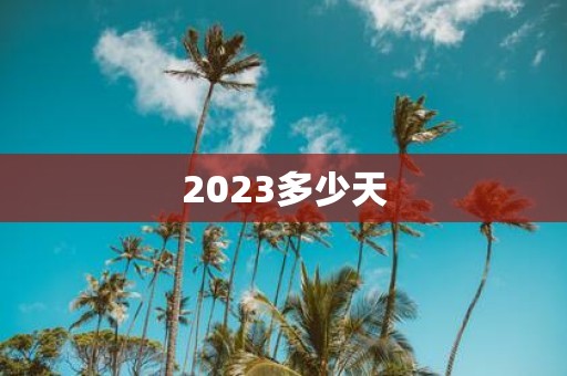 2025多少天