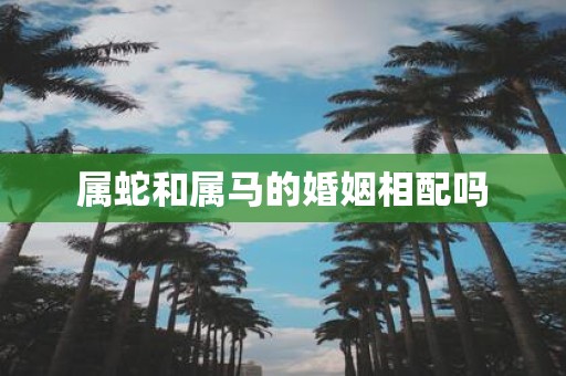 属蛇和属马的婚姻相配吗