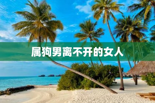 属狗男离不开的女人