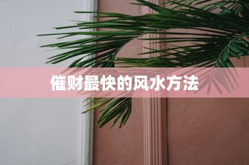 催财最快的风水方法