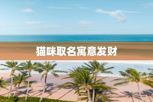 猫咪取名寓意发财
