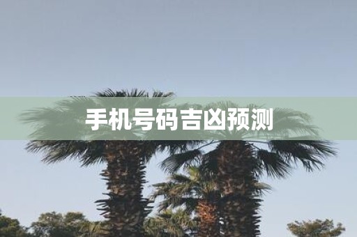 手机号码吉凶预测