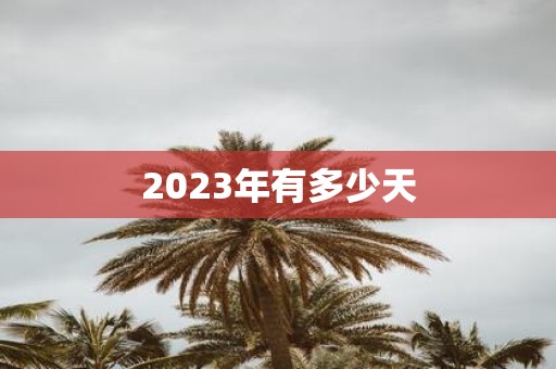 2025年有多少天