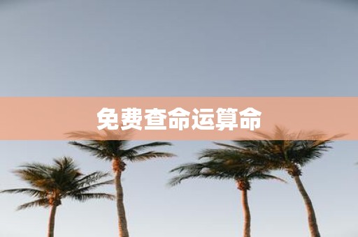 免费查命运算命