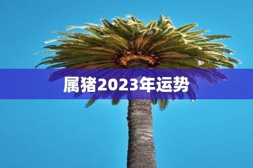 属猪2023年运势