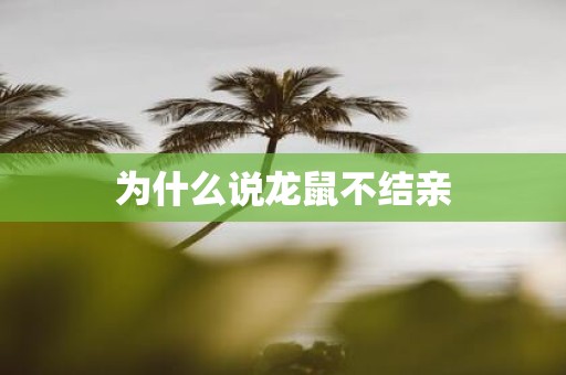 为什么说龙鼠不结亲