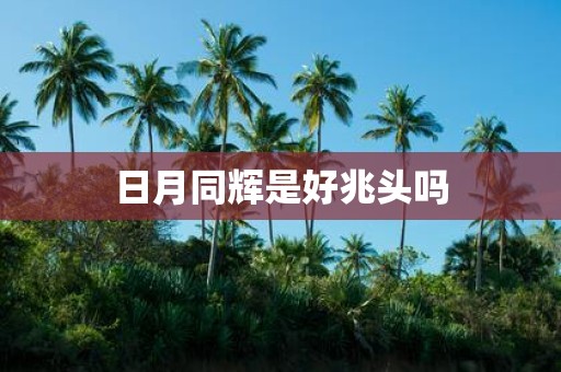 日月同辉是好兆头吗