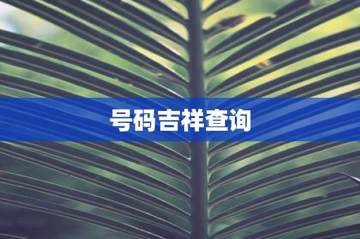 号码吉祥查询