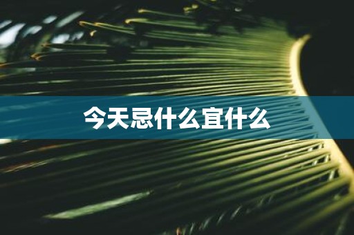 今天忌什么宜什么