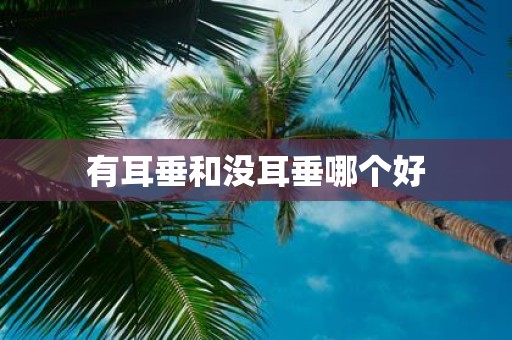 有耳垂和没耳垂哪个好