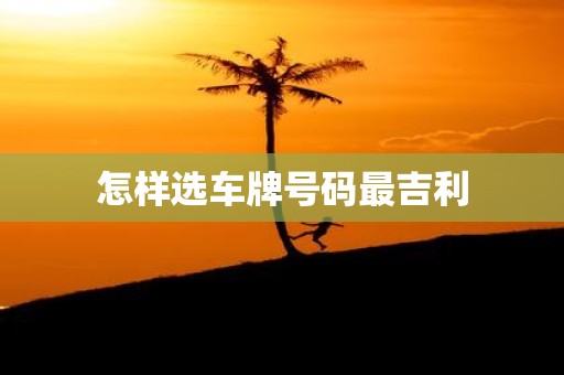 怎样选车牌号码最吉利