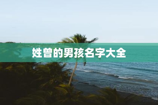 姓曾的男孩名字大全