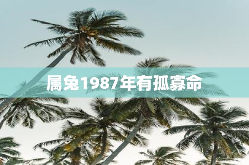 属兔1987年有孤寡命