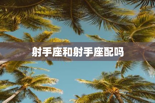 射手座和射手座配吗