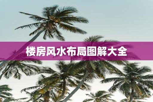楼房风水布局图解大全