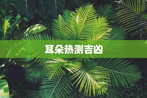耳朵热测吉凶