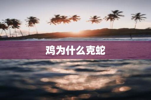 鸡为什么克蛇