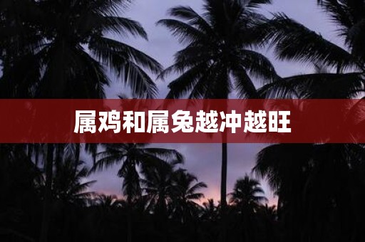 属鸡和属兔越冲越旺