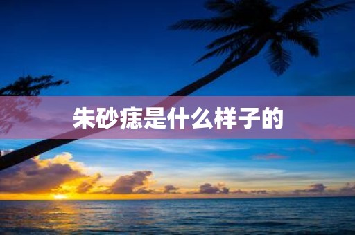 朱砂痣是什么样子的