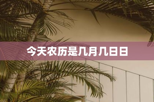 今天农历是几月几日日