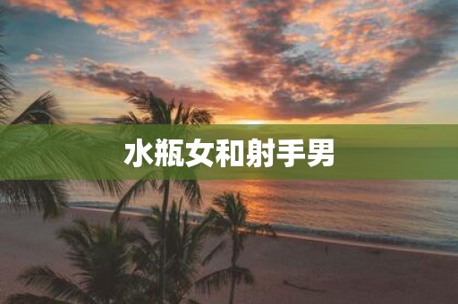 水瓶女和射手男
