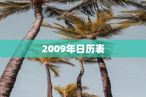 2009年日历表