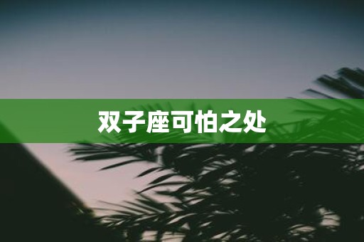 双子座可怕之处