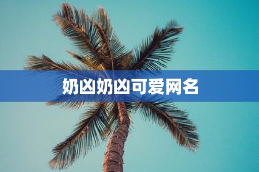 奶凶奶凶可爱网名