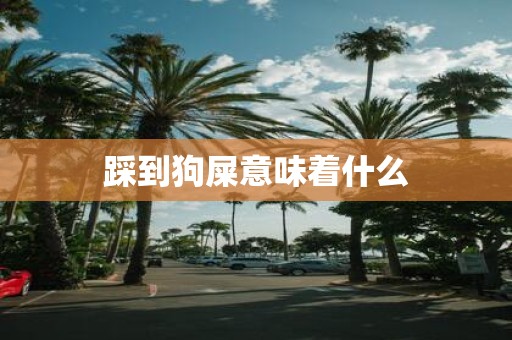 踩到狗屎意味着什么