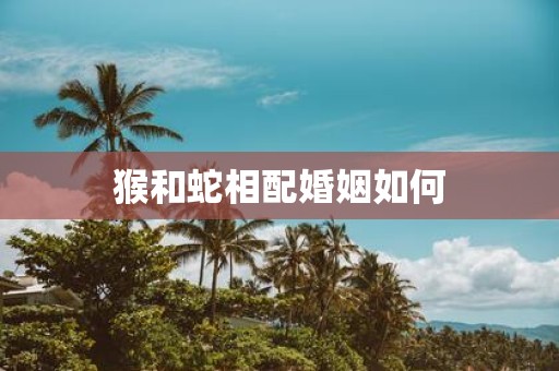 猴和蛇相配婚姻如何