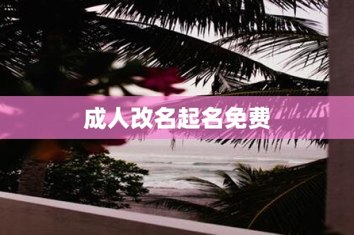 成人改名起名免费