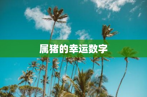 属猪的幸运数字