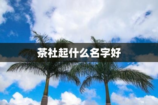 茶社起什么名字好