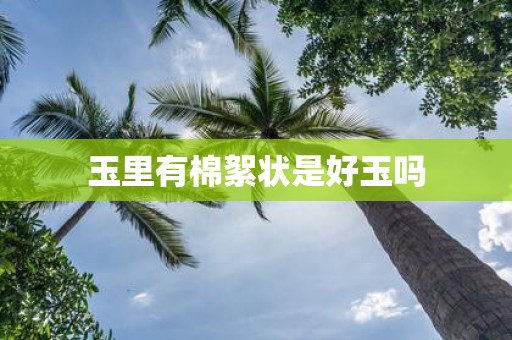 玉里有棉絮状是好玉吗