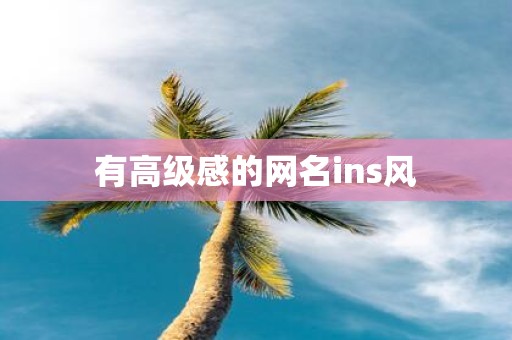 有高级感的网名ins风