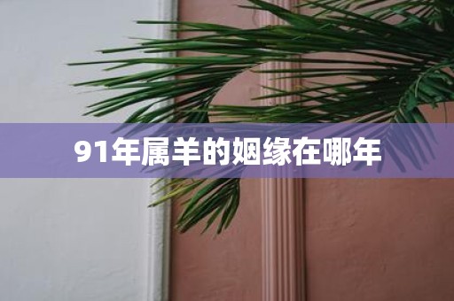 91年属羊的姻缘在哪年
