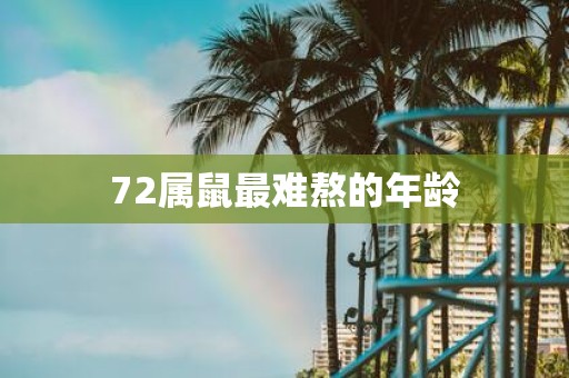 72属鼠最难熬的年龄
