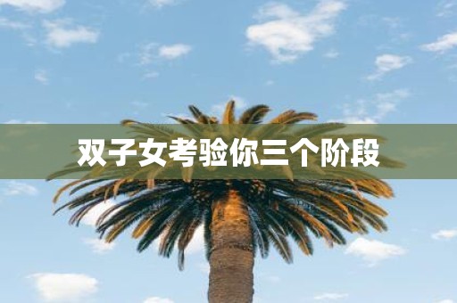 双子女考验你三个阶段