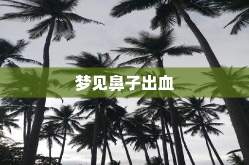 梦见鼻子出血