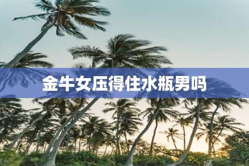 金牛女压得住水瓶男吗