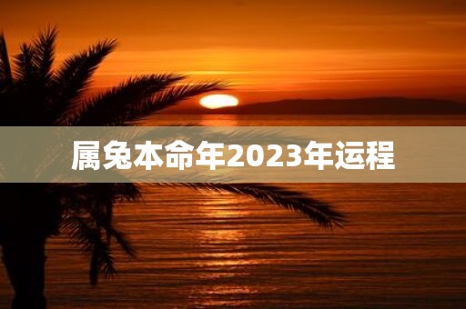属兔本命年2025年运程