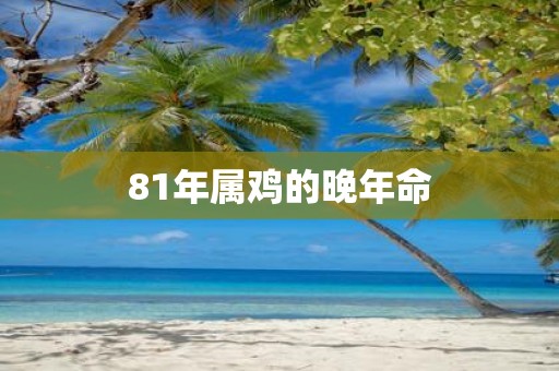 81年属鸡的晚年命