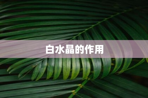 白水晶的作用