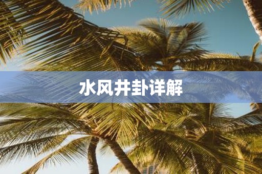水风井卦详解