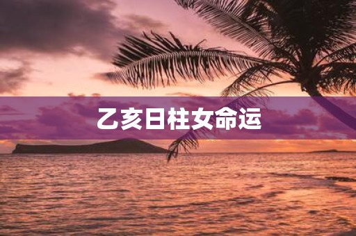 乙亥日柱女命运