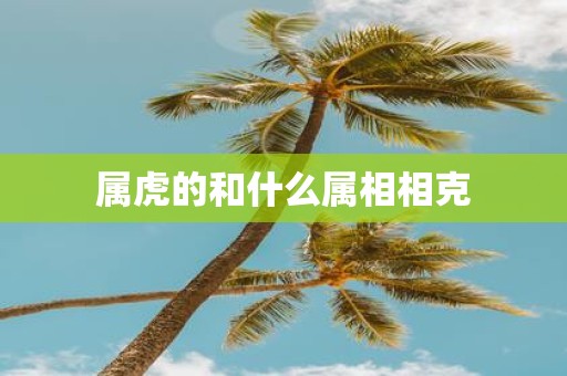 属虎的和什么属相相克